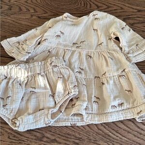 Adorable Baby Dress and Bloomers Set